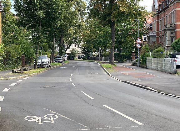 Eine breite, asphaltierte Straße mit einem Fahrradpiktogramm, dass die Fahrbahn von außen zur mitte hin bedeckt.