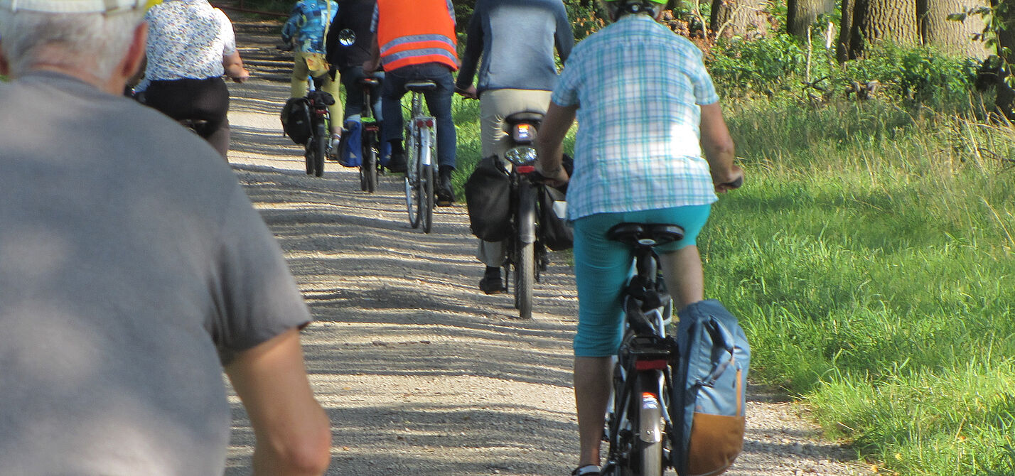Auf dem Bild fahren Radler:innen zu zweit nebeneinander über einen Feldweg gesäumt mit großen Bäumen