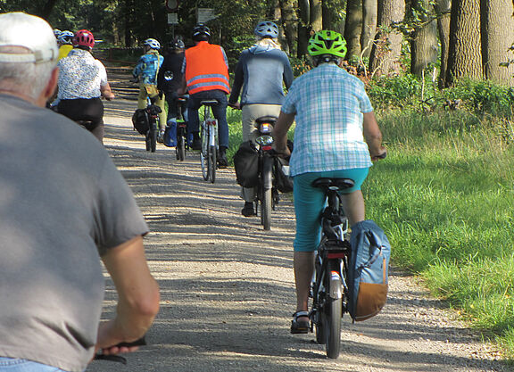 Auf dem Bild fahren Radler:innen zu zweit nebeneinander über einen Feldweg gesäumt mit großen Bäumen