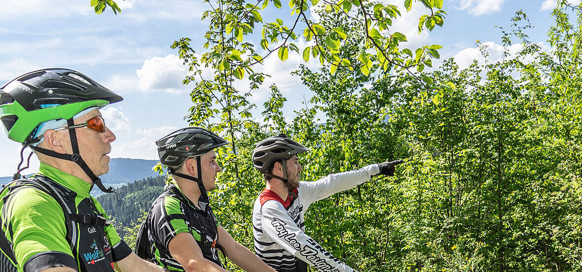 3 Mountainbiker im Schwarzwald