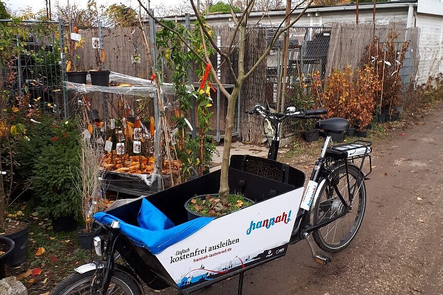 Hannah-Lastenrad Baum in Lastenrad-Kiste