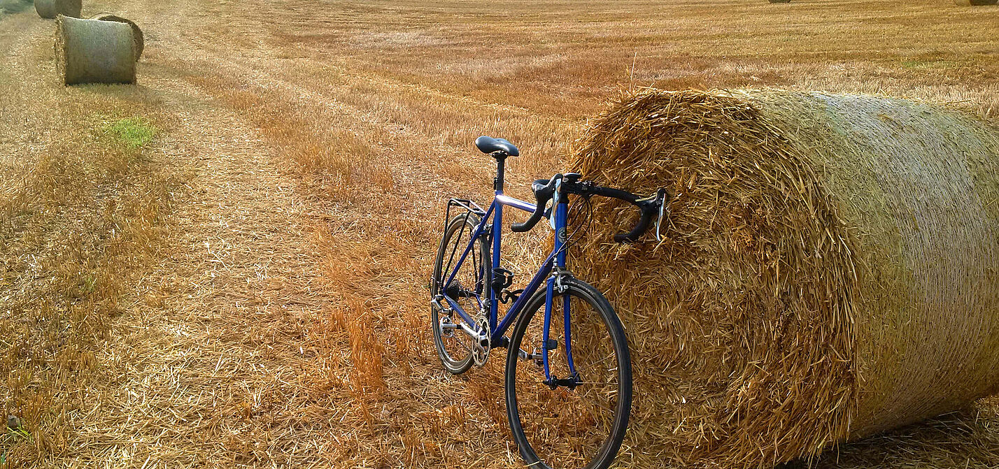 Im Spätsommer die Landschaft genießen