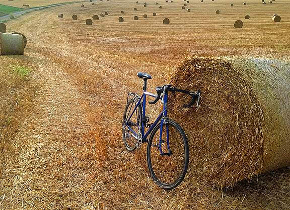 Im Spätsommer die Landschaft genießen